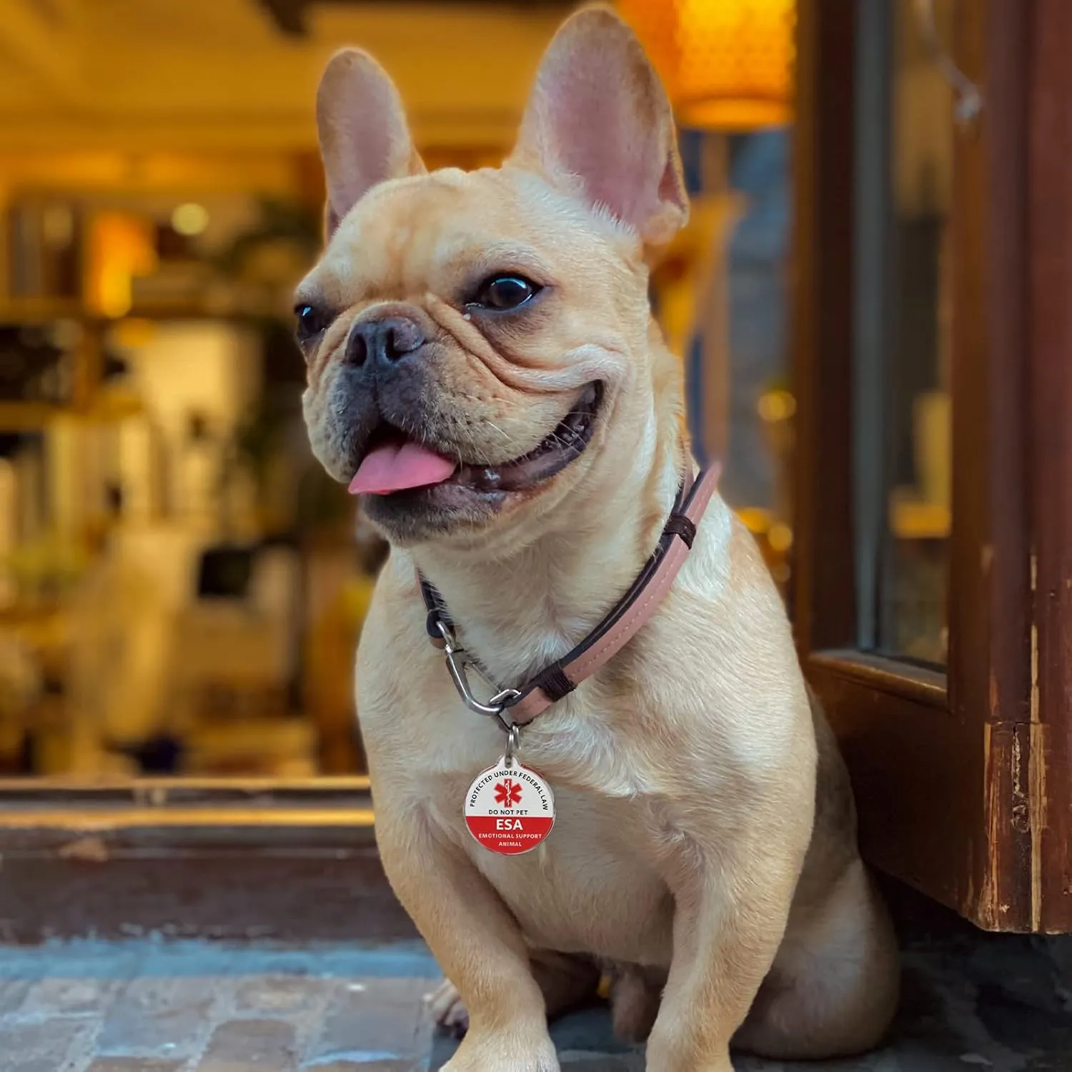 MYLUCKYTAG ESA Tag - Smart Pet ID with NFC & QR Code, Online Pet Profile, Location Alerts, Durable Collar Tag