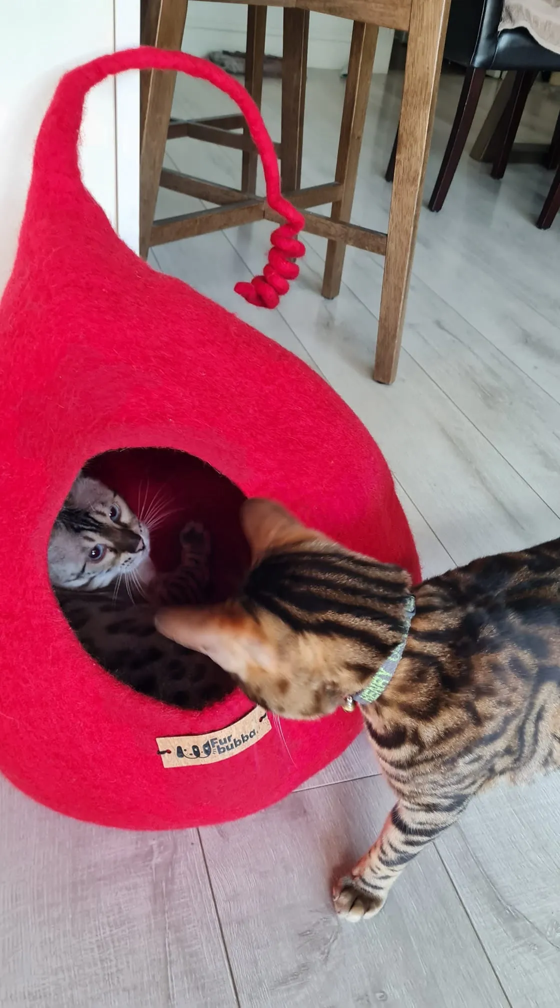 NEW Luxury Curly Cat Cave