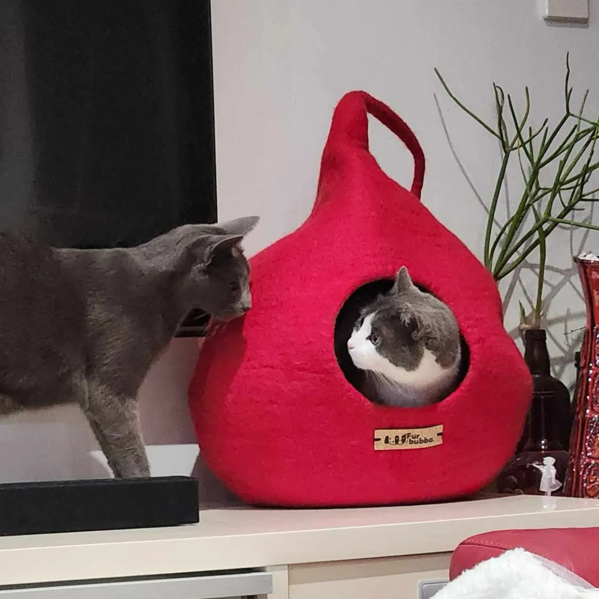 NEW Luxury Curly Cat Cave