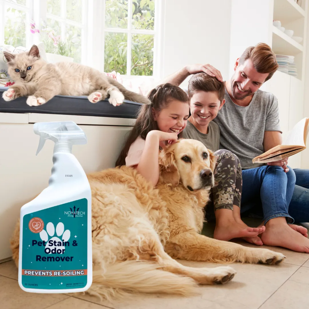 NOYATECH Pet Stain and Odor Remover - Enzyme Carpet Cleaner and Pet Odor Eliminator for Home. Safe for Pets and kids.