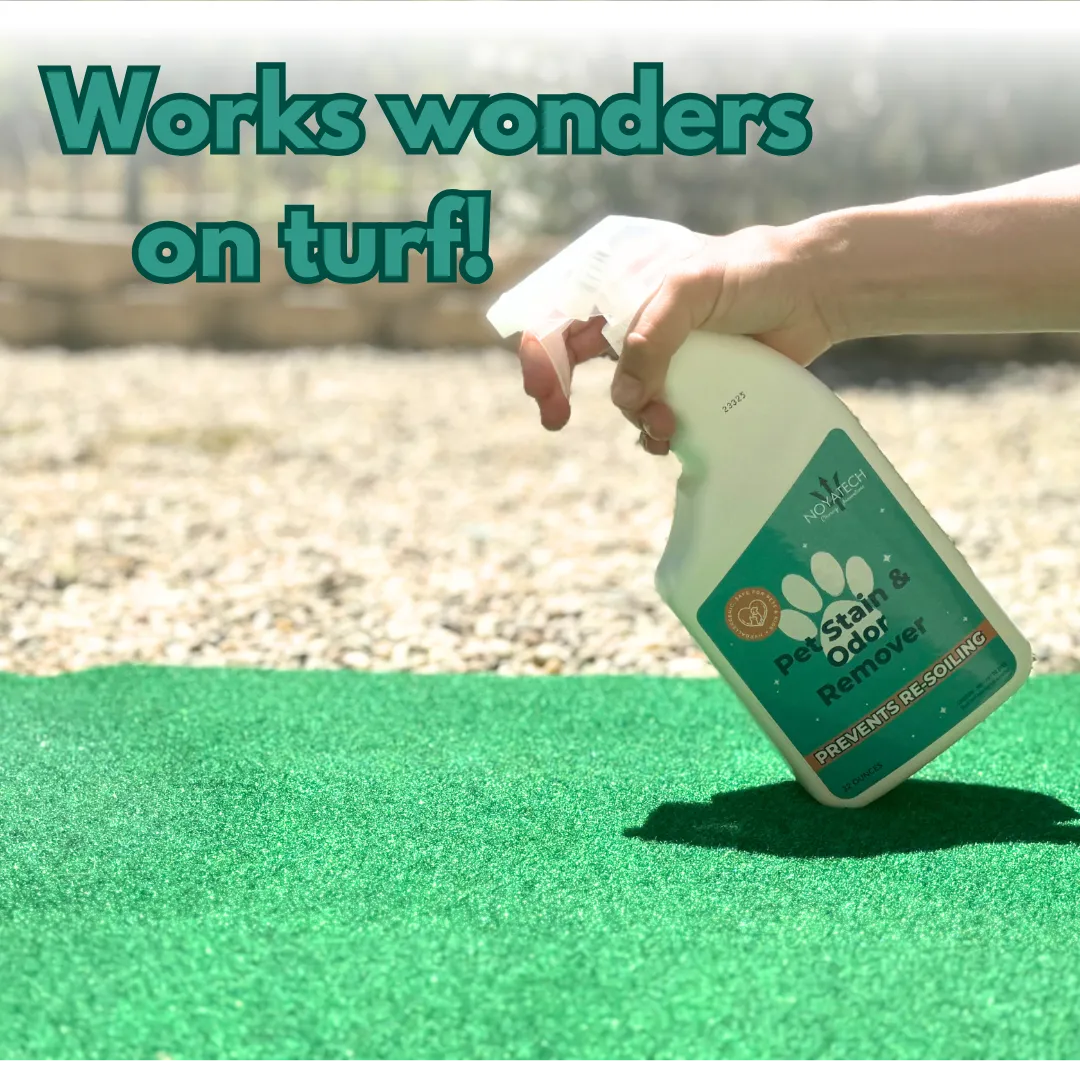 NOYATECH Pet Stain and Odor Remover - Enzyme Carpet Cleaner and Pet Odor Eliminator for Home. Safe for Pets and kids.
