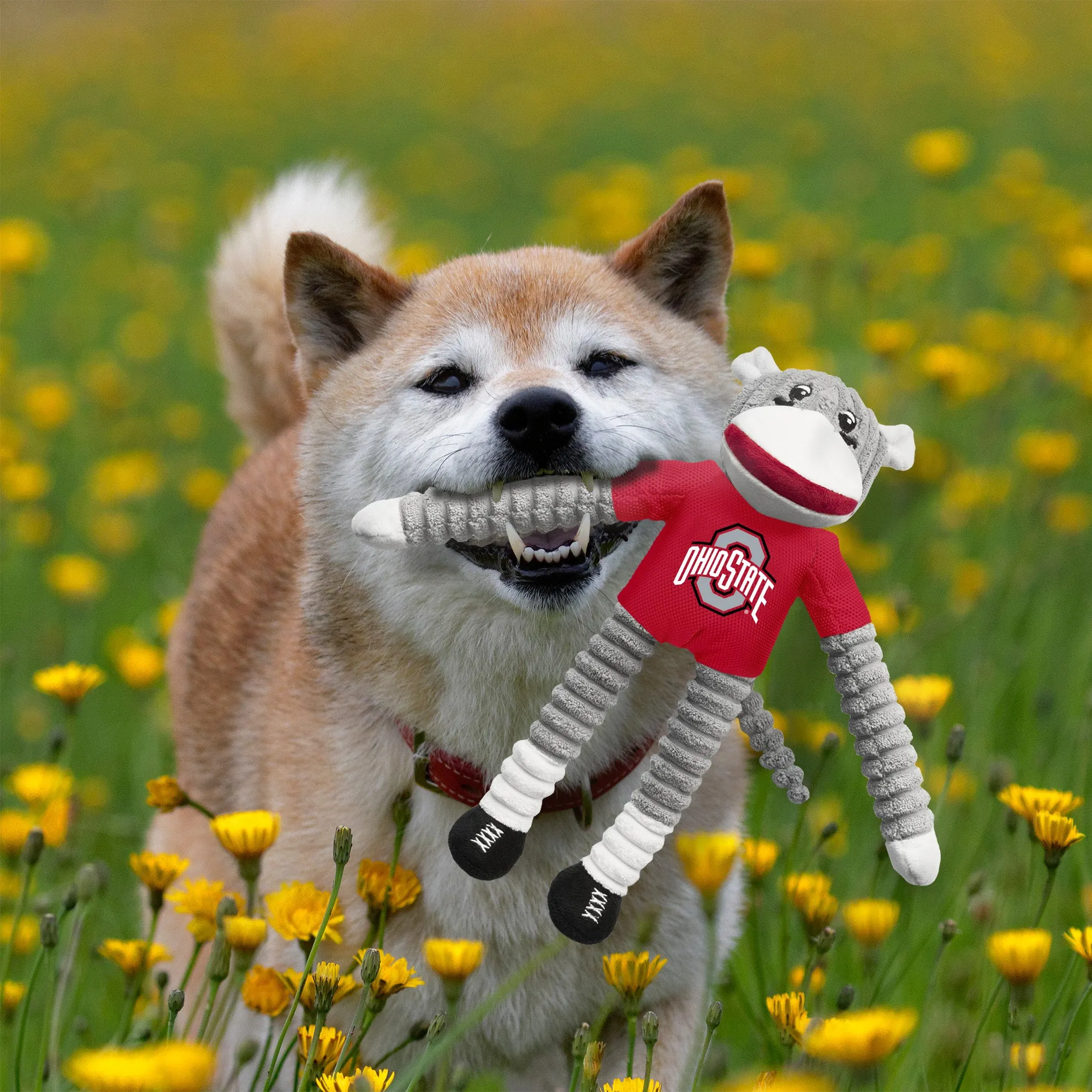 Ohio State University Team Sock Monkey Pet Toy