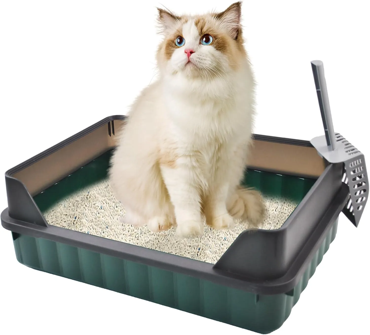 Open Cat Litter Box with High Sides,Large Semi Enclosed Cats Litter Box,Anti-Splashing Detachable Cat Litter Pan,Kitten Toilet with Litter Scoop for Big Middle Small Cats,Easy to Clean No Odor