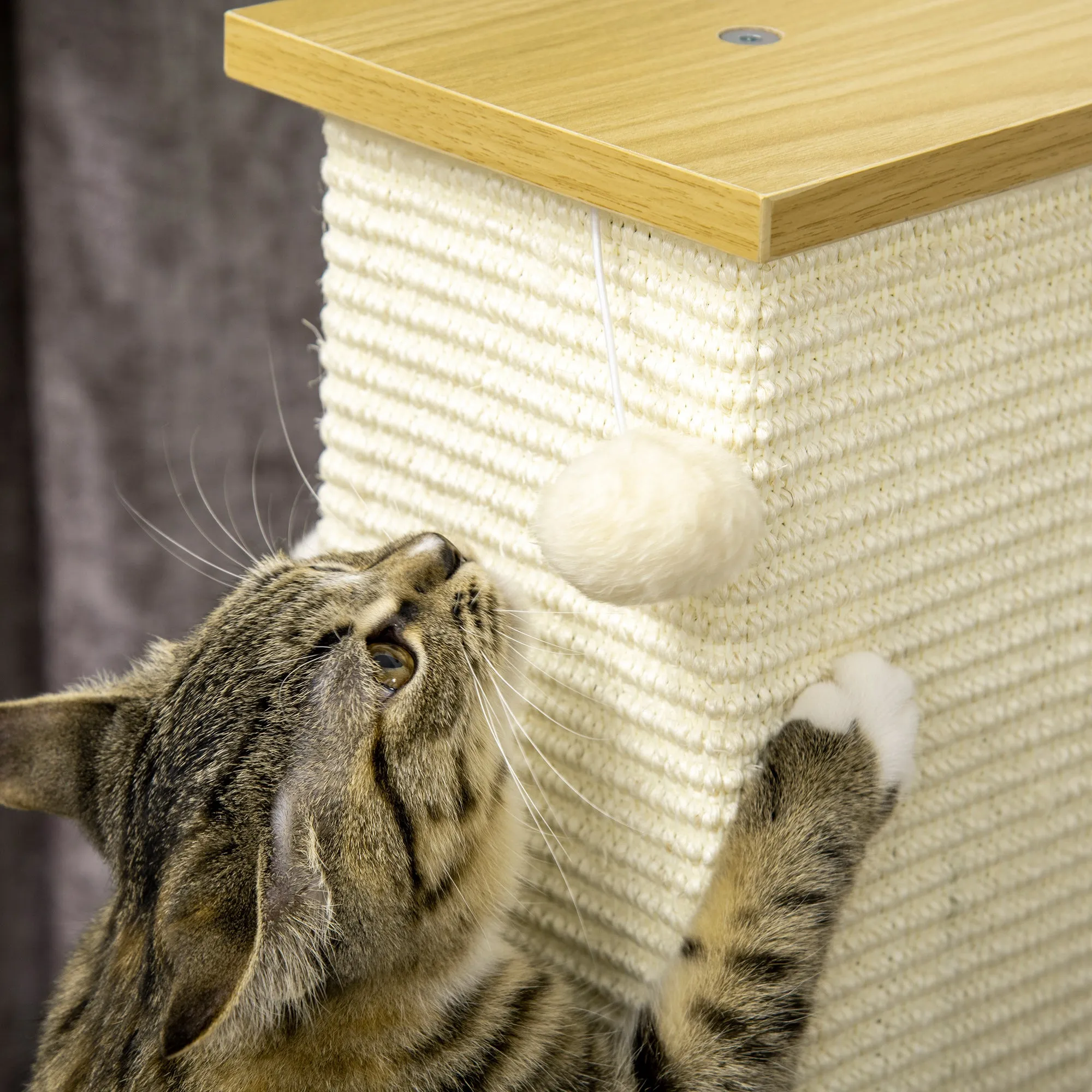 PawHut 80cm Sisal Rope Scratching Post, Cat Scratching Post - White