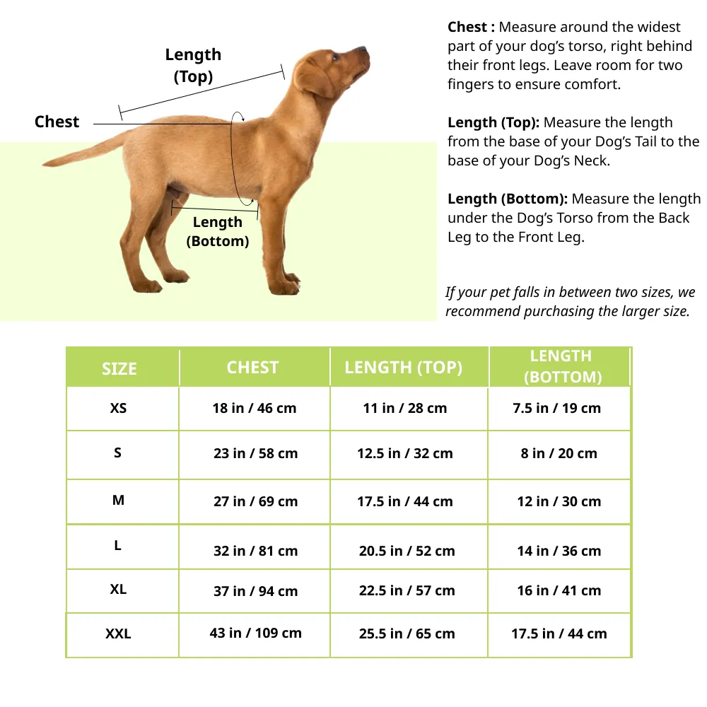 Pawsindia Single Taken Hungry Hoodie for Dogs (Red)