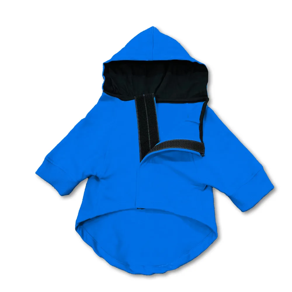 Pawsindia Spoiled Hoodie for Dogs (Blue)