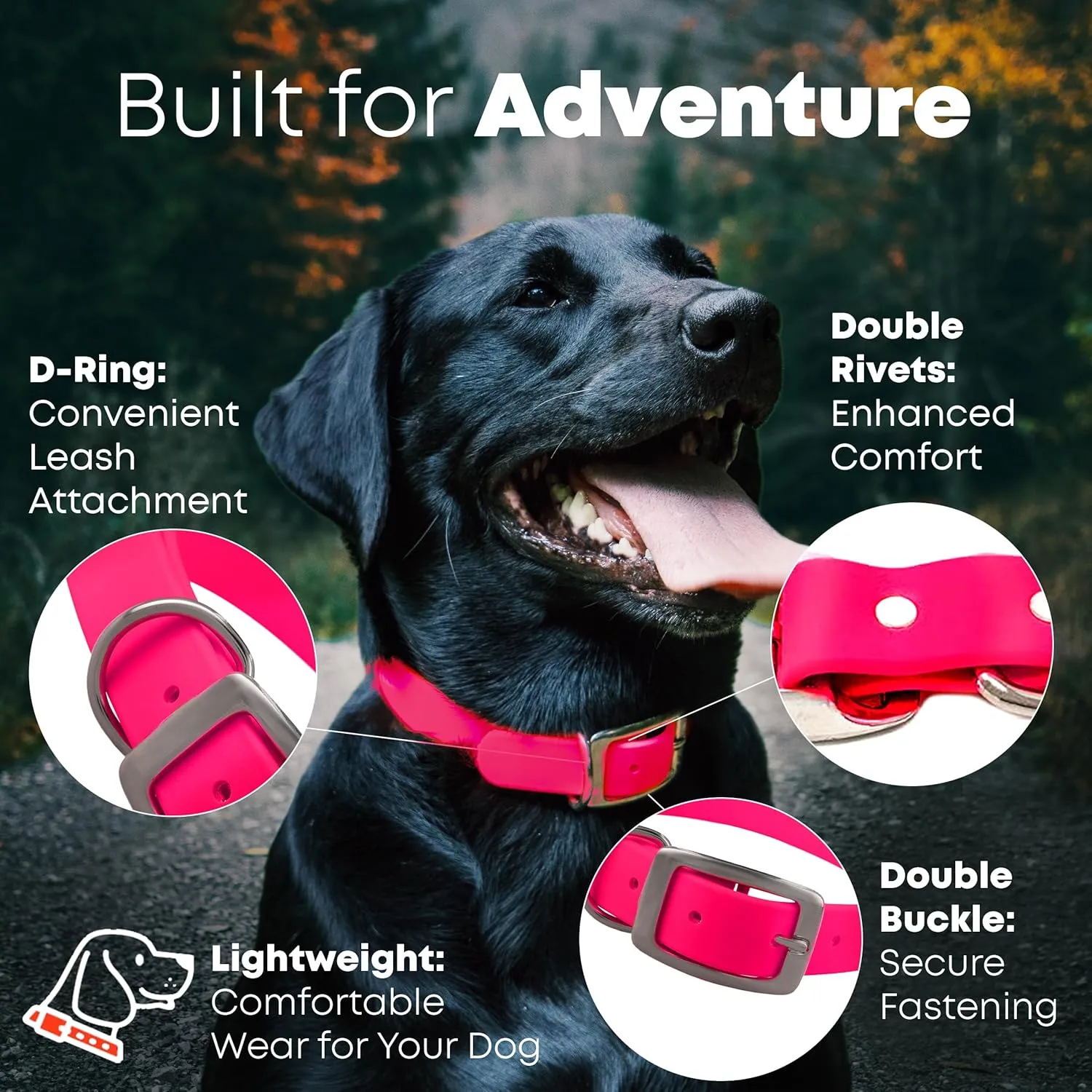 Regal Dog Products Medium Pink Waterproof Dog Collar and Leash Set - Vinyl Coated Biothane Pet Training Collar with Heavy Duty Center Ring & 5'ft Leash - Other Sizes for Puppy, Small & Large Dogs
