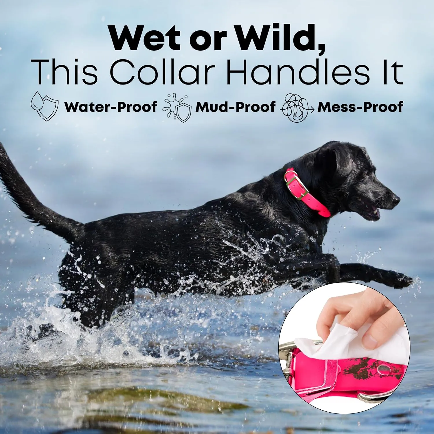 Regal Dog Products Medium Pink Waterproof Dog Collar and Leash Set - Vinyl Coated Biothane Pet Training Collar with Heavy Duty Center Ring & 5'ft Leash - Other Sizes for Puppy, Small & Large Dogs