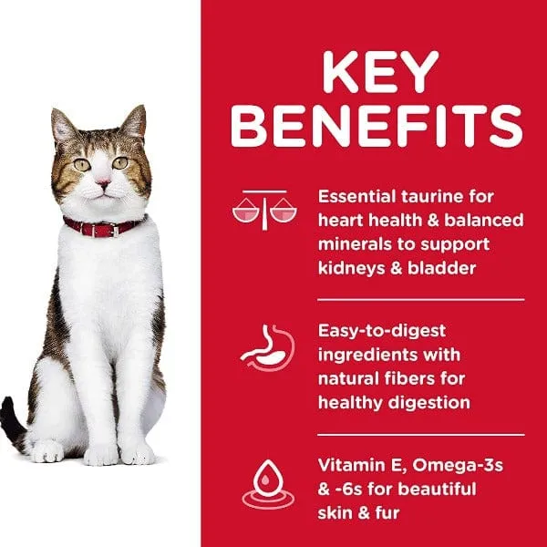 Science Diet Adult 7  Chicken Recipe Dry Cat Food