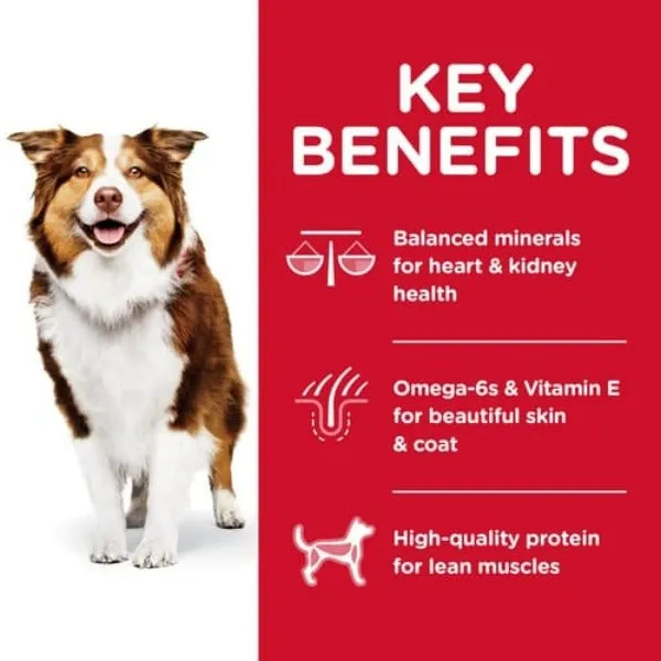 Science Diet Adult 7  Chicken Recipe Dry Dog Food