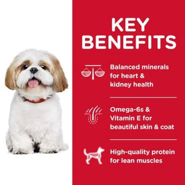 Science Diet Adult 7  Small Bites Chicken Recipe Dry Dog Food
