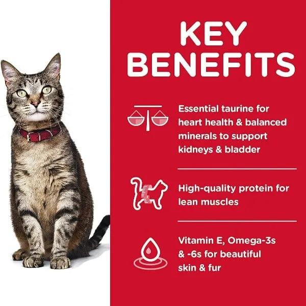 Science Diet Adult Chicken Recipe Dry Cat Food