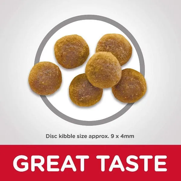 Science Diet Adult Chicken Recipe Dry Cat Food
