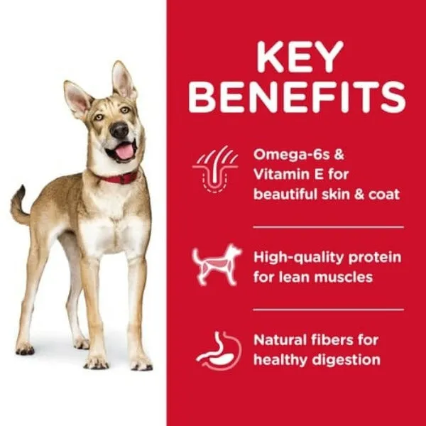 Science Diet Adult Lamb Meal & Brown Rice Recipe Dry Dog Food