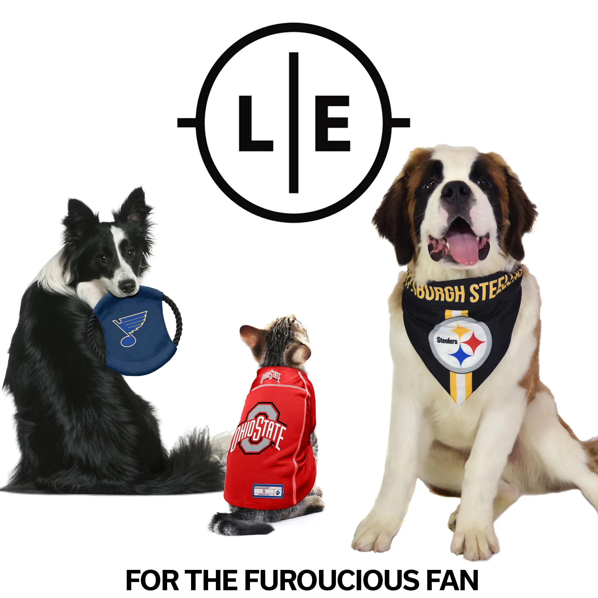University of Georgia Team Flying Disc Pet Toy
