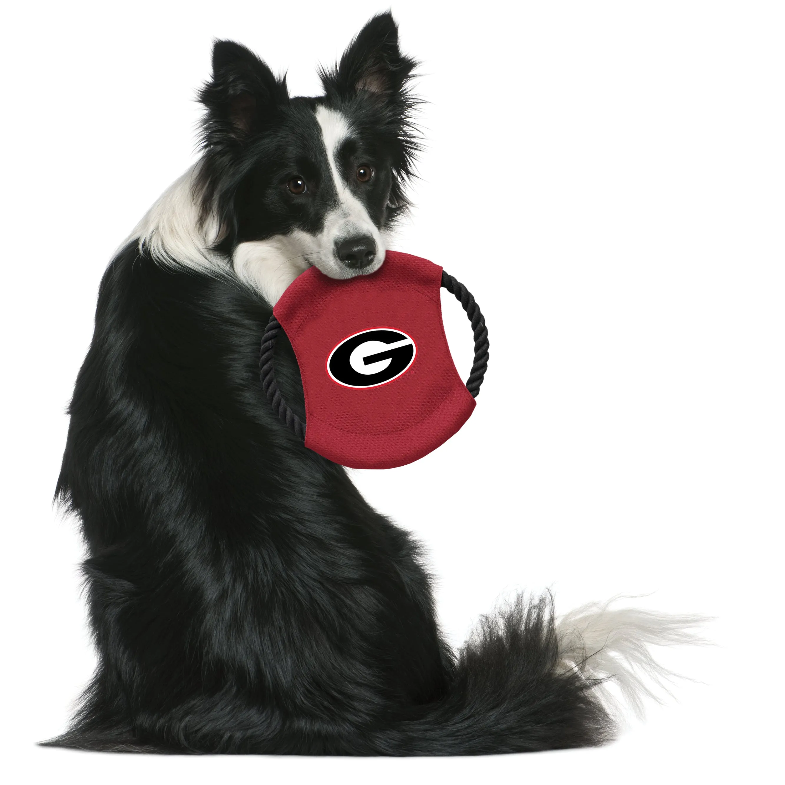 University of Georgia Team Flying Disc Pet Toy
