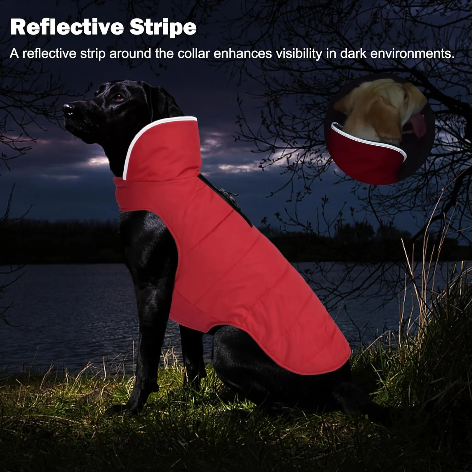 Winter Coat, Waterproof Dog Jacket with Leash Hole, Reflective Warm Snow Jacket Windproof Fleece Vest for Small to Large Dogs - Red, S